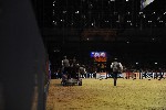 Extreme - 00823